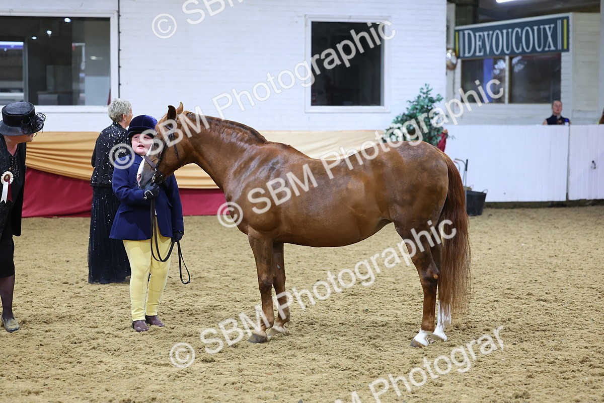 SBM_19697 - Class 901 - Supreme Final - IH Diamond