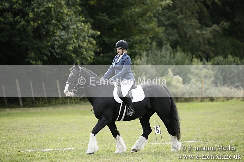 BVR080918 157 - BVRC Novice Dressage & CR 08/09/18