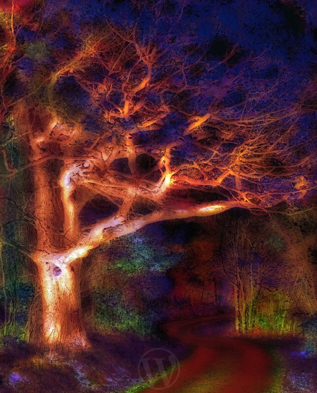 Arisaig Scottish Highlands - Land