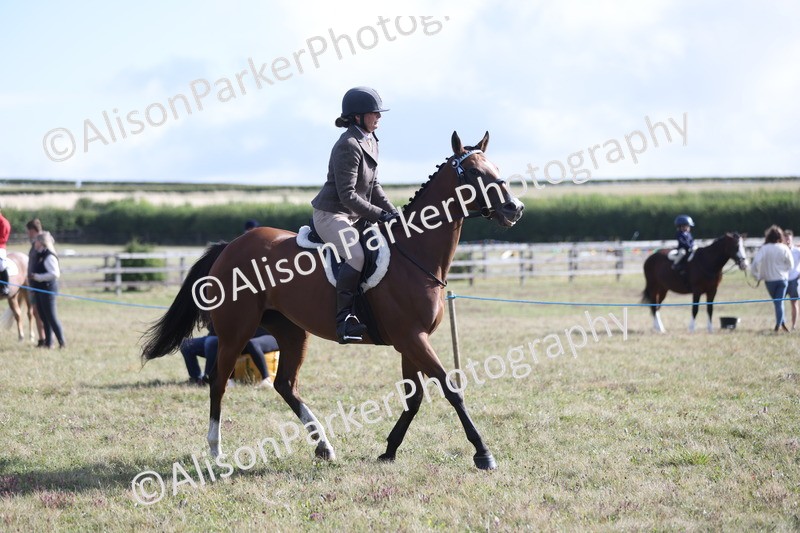 20250831-0914 - Class 14 - Ex Racehorse