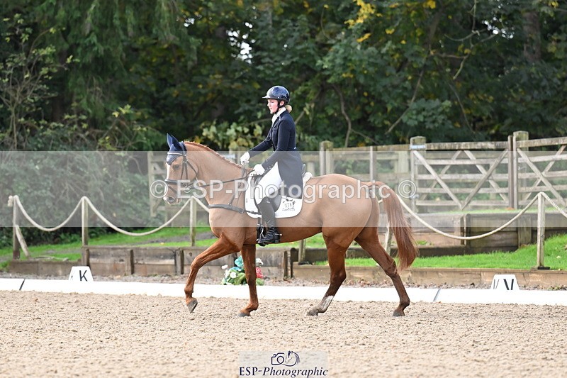 251023A-101747-01478 - B-128-Holly.Law