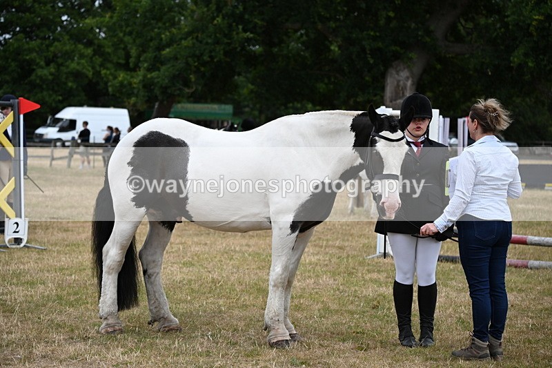 WJ6_4348 - Class 10 Coloured In-hand