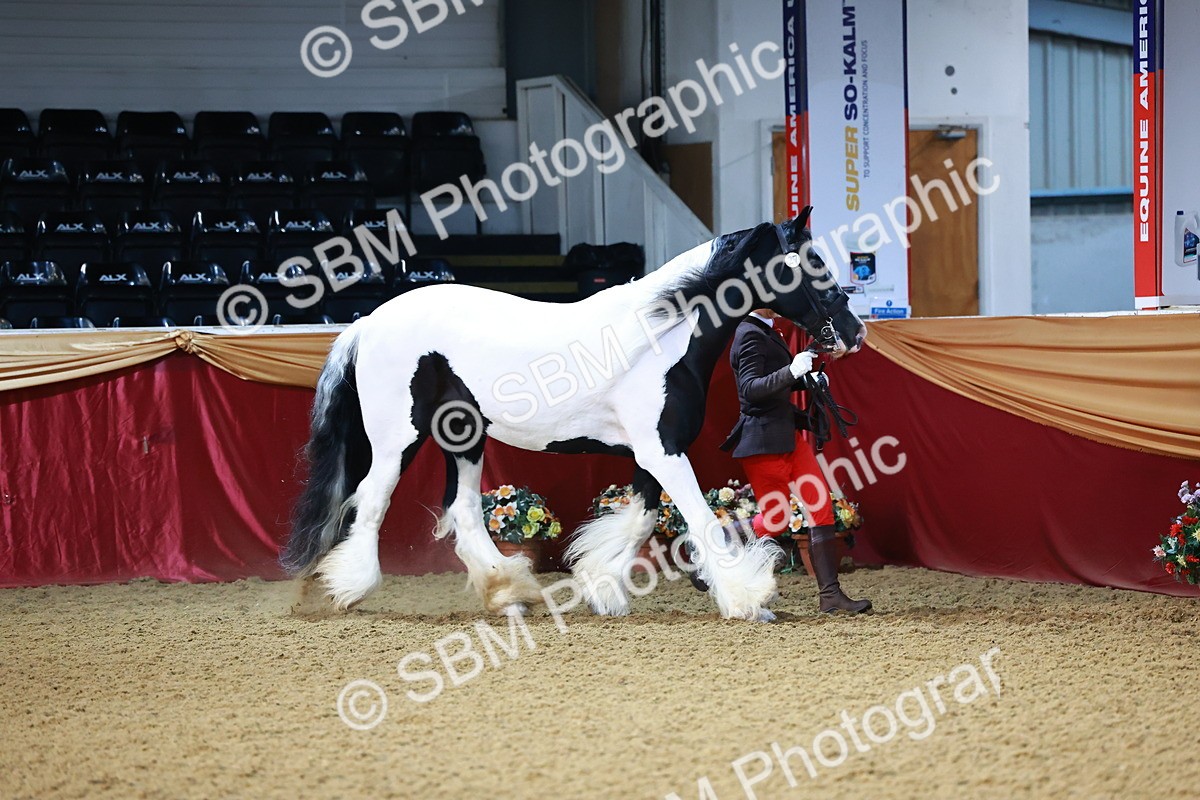 SBM_21686 - Class 901 - Supreme Final - IH  Diamond