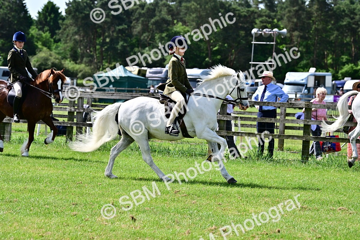 SBM_03732