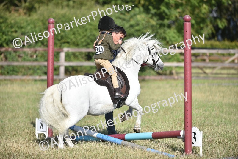 20260906-0533 - Class 6 - Minimus Jumping