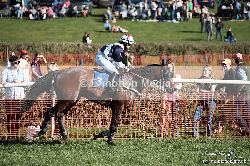 PtP 210326 653 - VWH Cirencester Races 21/03/26