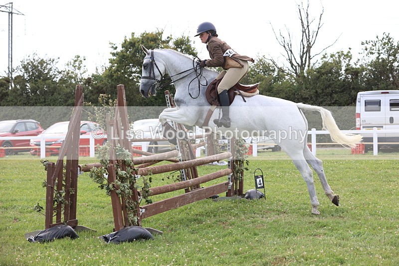 JPP_4157 - Class 25: Working Show Horse