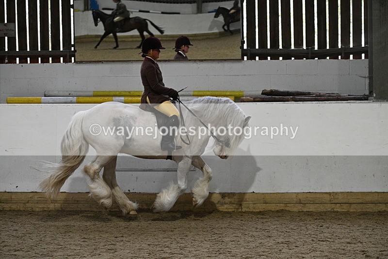 WJ7_3866 - Class 17 Ridden Cob