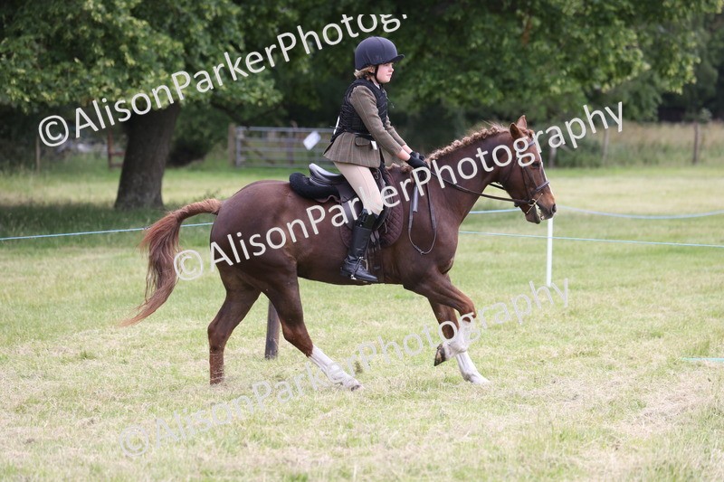 20260614-2759 - Class 22 - Open Working Hunter
