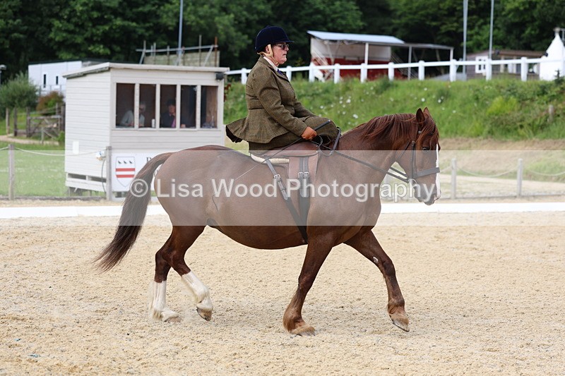 3E7A1625 - Class 2: Intro 2 2024 Section B