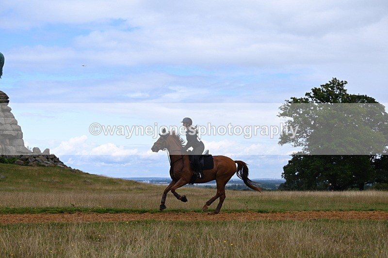 DSC_8428 - Time at Statue 13:52 to 14:33
