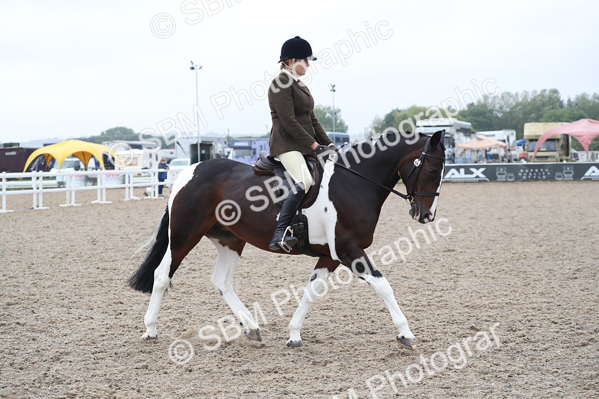 SBM_22038 - Class 603 - 2025 Area Ridden Pre Vet