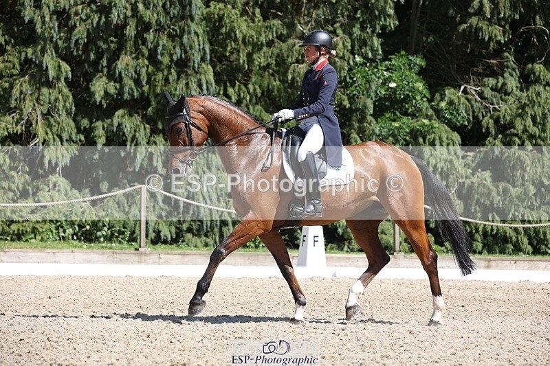 230526-153004-06719 - 381-CAROLINES_AIR_KM-Izzy_Taylor-WEDTrotUp+DR