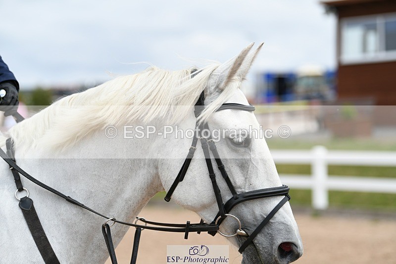 250801-131215-05520 - Cls 22 Nat Am 85