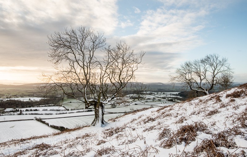 View over Ragdon and Acton Scott from Ragleth Hill - Stretton Hills