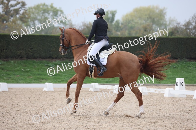 20251012-0805 - Class 9 - Advanced Medium 3