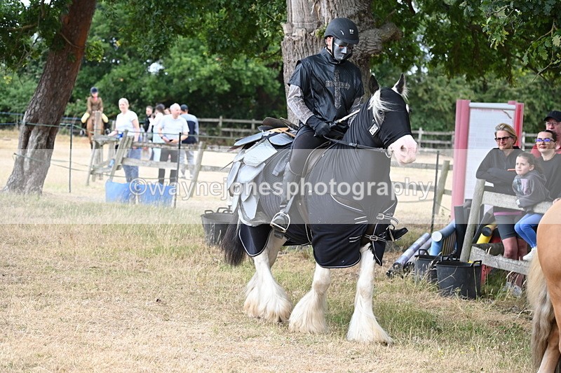 WJ6_8911 - Class 11 Fancy Dress