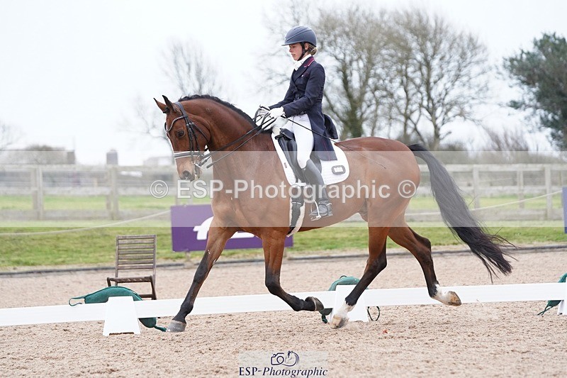 250403-161536-03269 - 028-Elizabeth.Allen-Heraldik