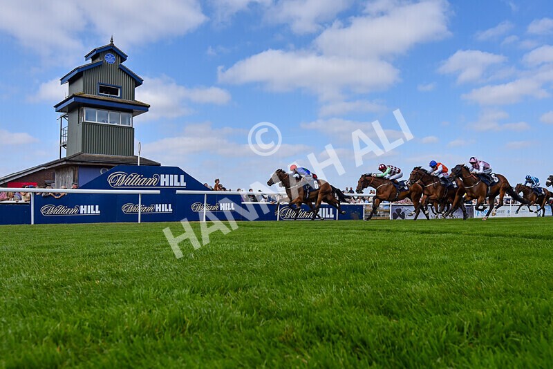 310824-Race 4-Spirit Of Applause-5997 - Race 4