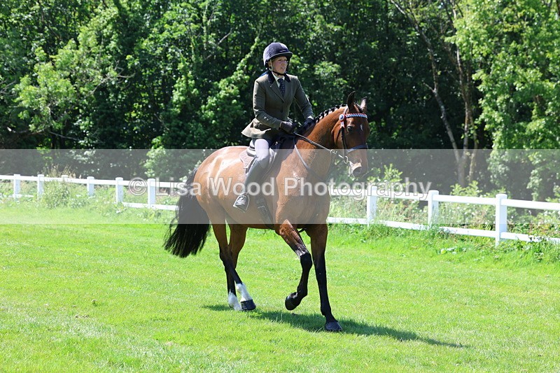 3E7A7511 - Class 31: Working Hunter Cob/Riding Horse