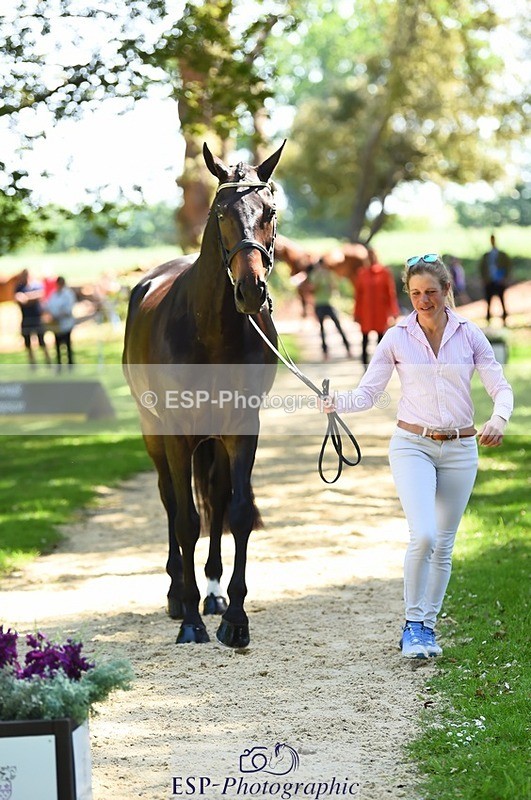 230524-150456-00055 - 355-JASON_KING-Izzy_Taylor-WEDTrotUp+DR