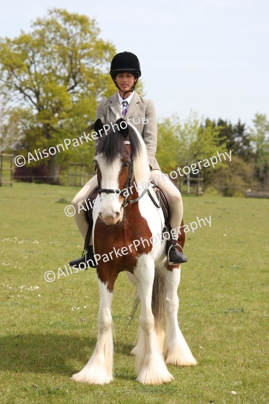 20260426-3009 - Class 33 - Best Pony 14.2hh and Under