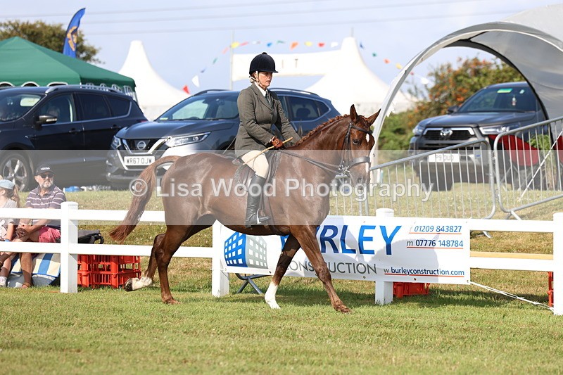 3E7A8545 - Class 3: Rising Star S/L Hunter