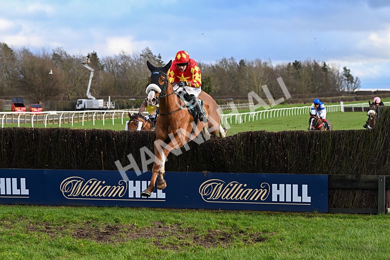 020224-Race 4-Treaty Boy-8336 - Race 4