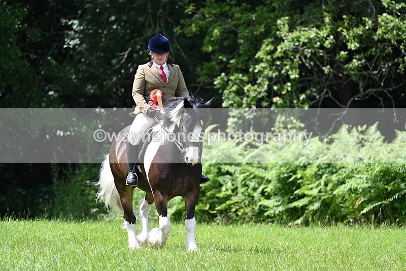 WJ7_2734 - Class 12A Coloured Class