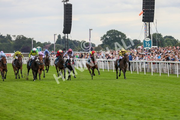 270724-Race 7-Finn Ironside-4824 - Race 7 5.40pm Sky Bet Extra Places Every Day Handicap
