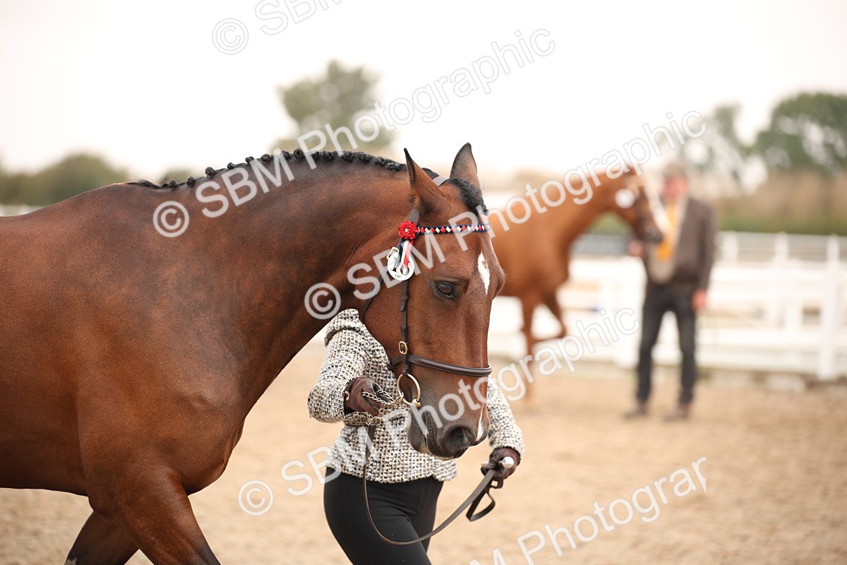 SBM_22137 - Class 707 - Ridden Groom-Helpers Class