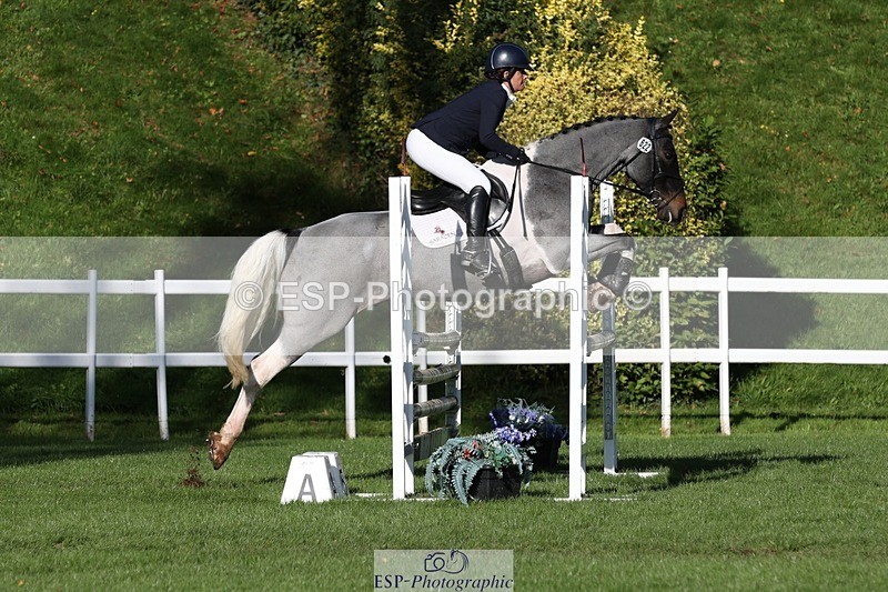 231022-110838-24982 - 622-CRAFTY.WIZARD-Heather.Urquhart-TrotUp+SJ