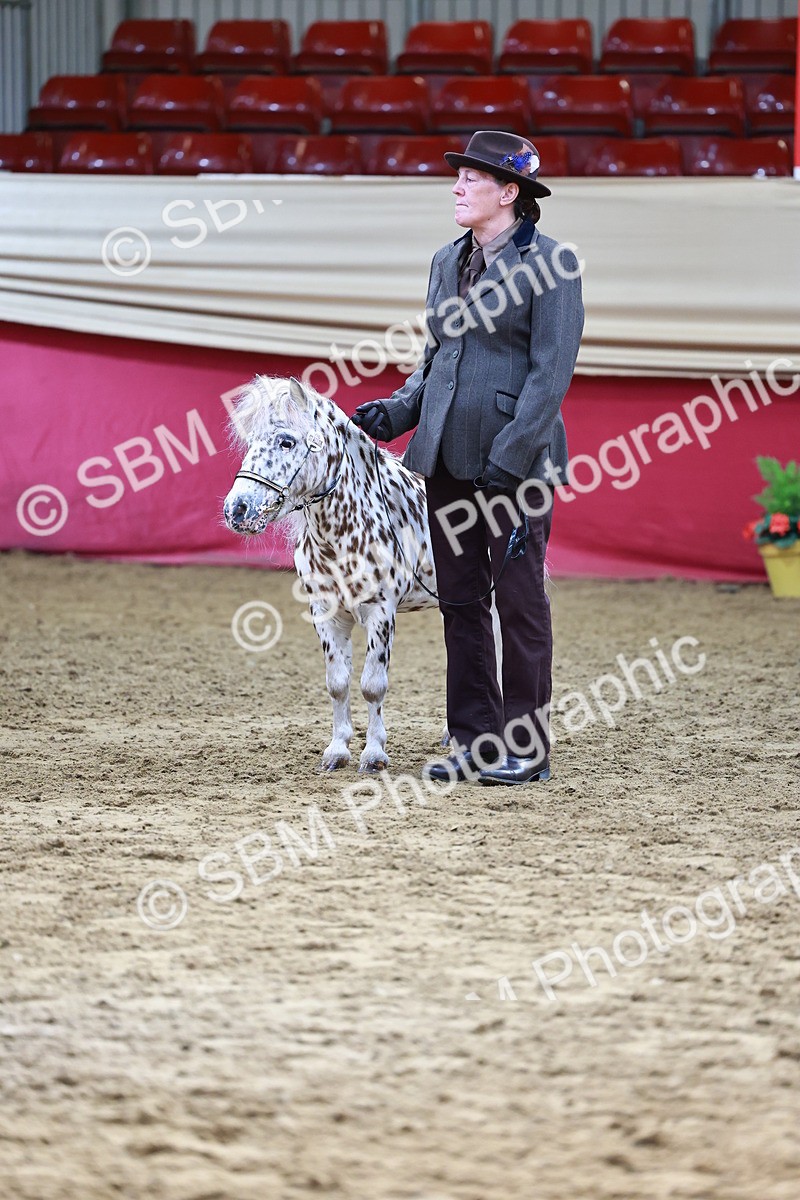 SBM_22320 - Class 902 - Supreme Final - IH Diamond