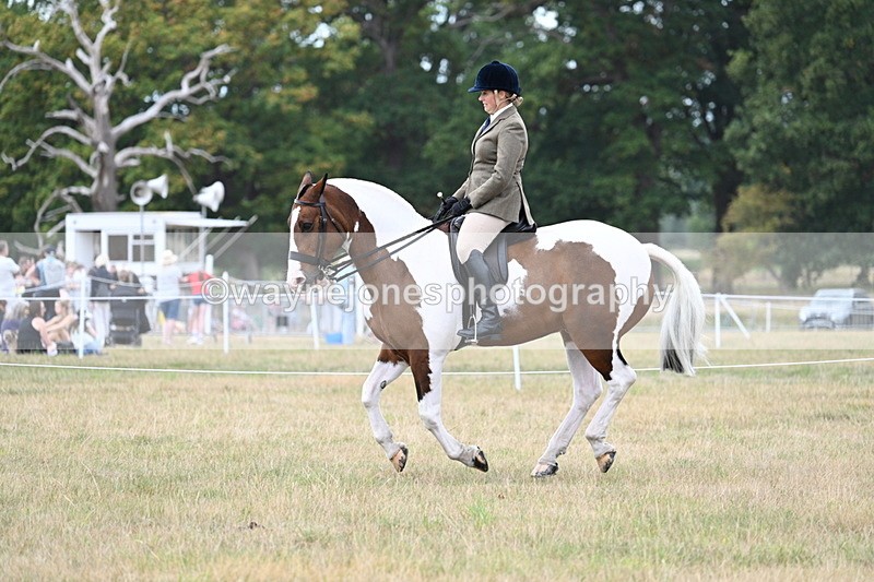 WJ7_5068 - Class 12 Ridden Cob