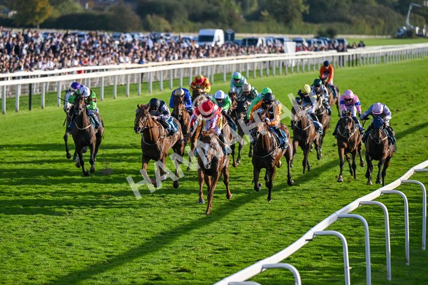 111025-Race 6-Berkshire Sundance-9003 - Race 6 Coral Racing Club Stayers Handicap at York