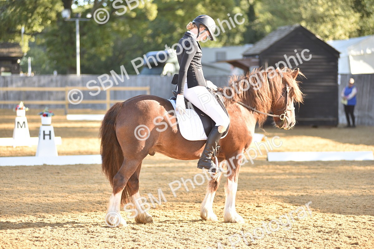 SBM_15703 - D4 - Small Tour Championship Intro 4