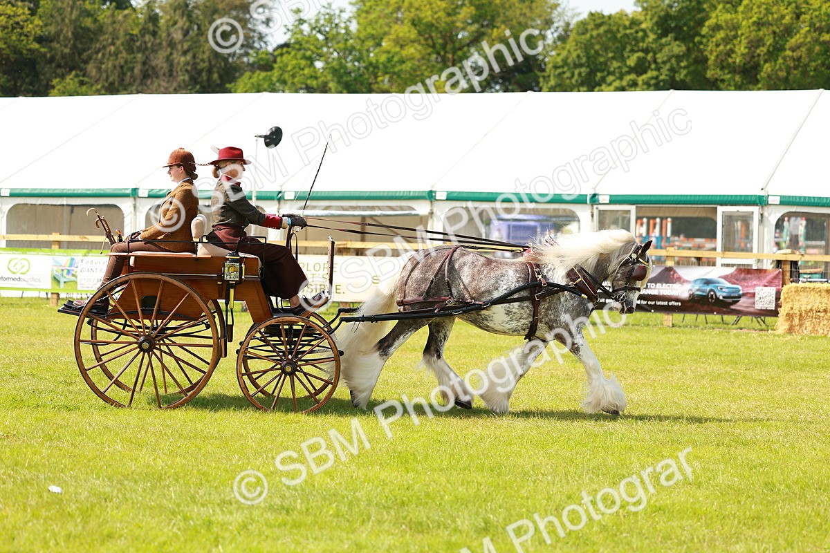 SBM_02653 - Class 2-4 - HOYS Private Driving