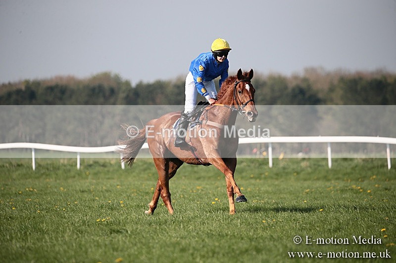 PtP 210418 490 - South & West Wilts Point-to-Point Larkhill 21/04/18