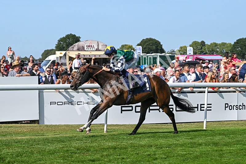 130825-Race 5-Bell Shot-8899 - Race 5