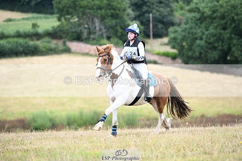 250803A-114714-11247 - L-524-Jacky.Jones-I.FOUND.NEMO