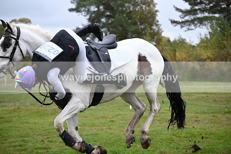 WJ6_3519 - 90cm Cam 1 Time 13:07 to 13:34