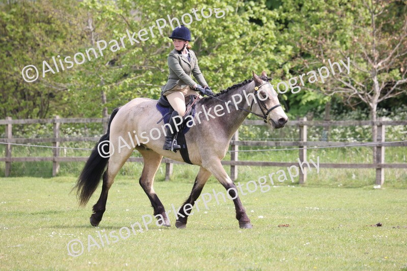 20260426-4324 - Class 34 - Best Riding Horse Over 14.2hh