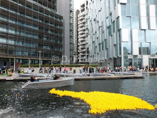 Image 2 - Rubber Duck Races, Paddington