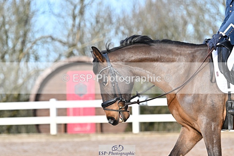 250125-120615-00400 - Dressage - CT Class 5 BE95 (90cm)