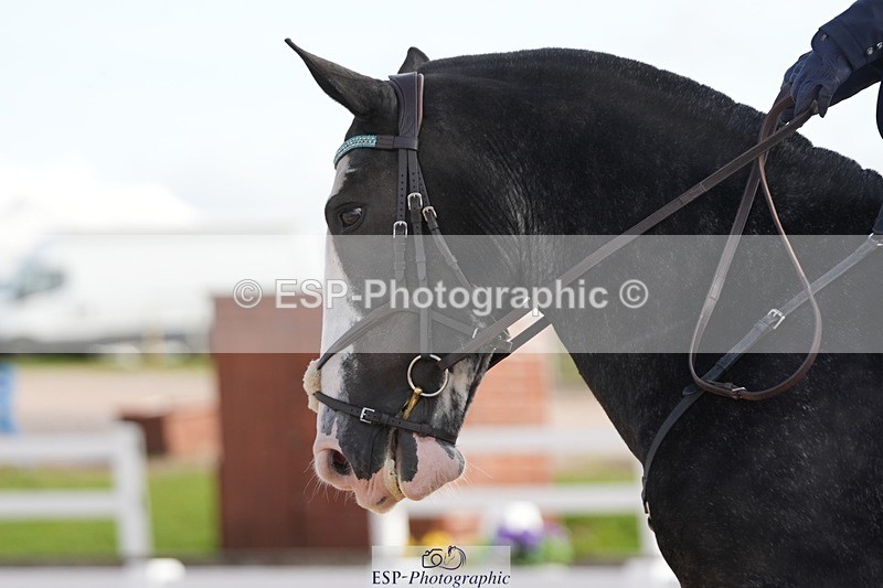 250906-105012-01562 - 061-christine.harrisonRed.Flair