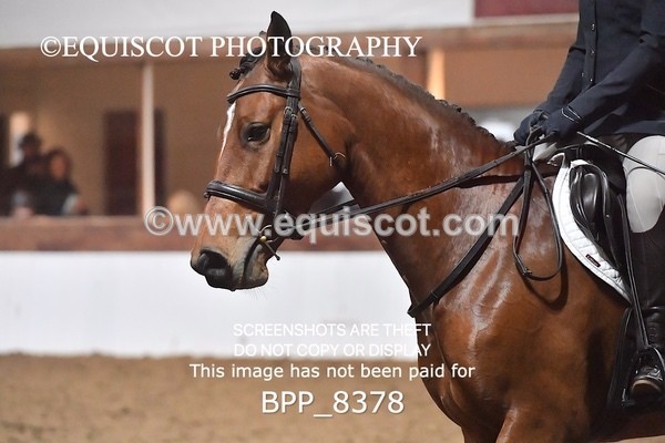 BPP_8378 - PRELIM 4 BD