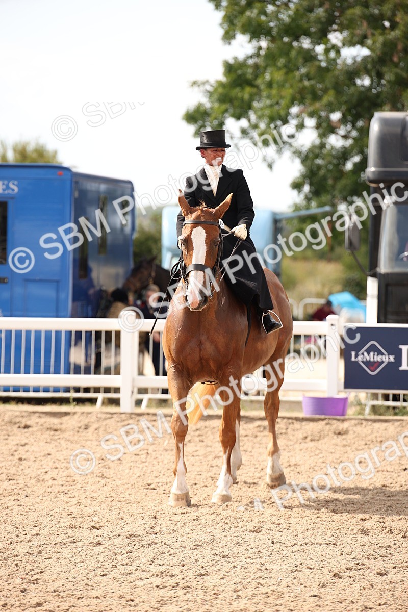 SBM_06739 - Class 24 Concours d'elegance