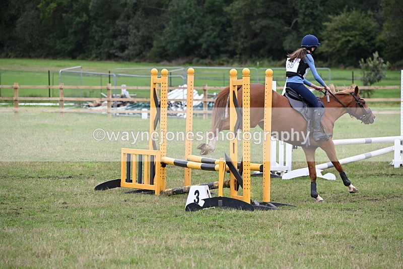 WJ6_1937 - 60cm Time 12:30 to 12:49