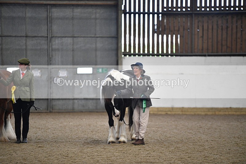 WJ5_5587 - Class 4 In hand M&M - small breeds