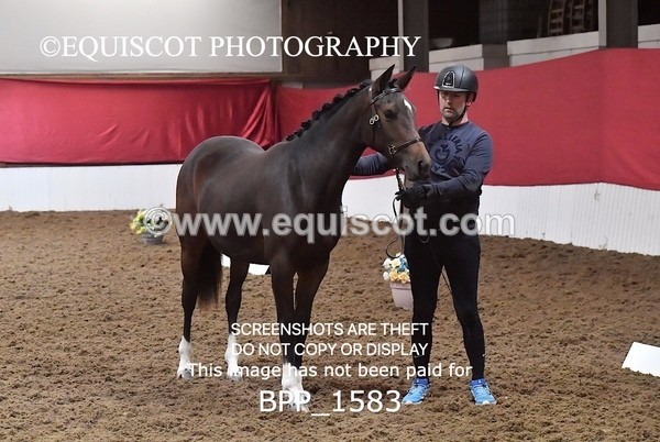 BPP_1583 - MORNING 9AM - 12PM